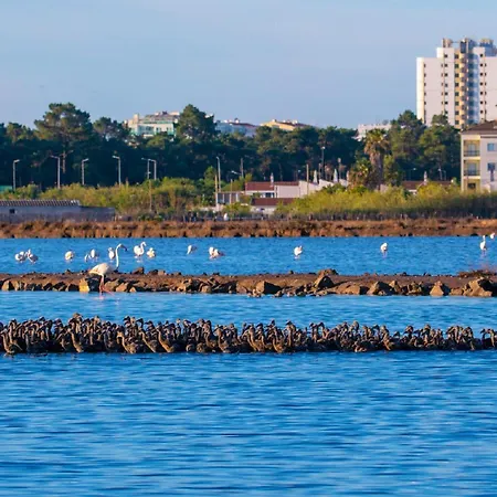 Seasun Vacation Rentals