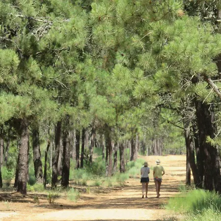 Apartment Seasun Vacation - Monte Gordo